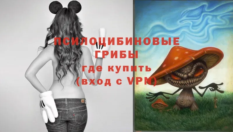 Галлюциногенные грибы Magic Shrooms  Орск 